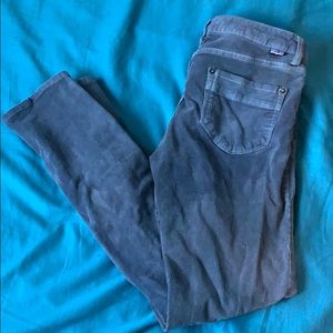 Patagonia corduroy pants